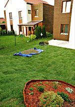 Jesenice  - travní koberec